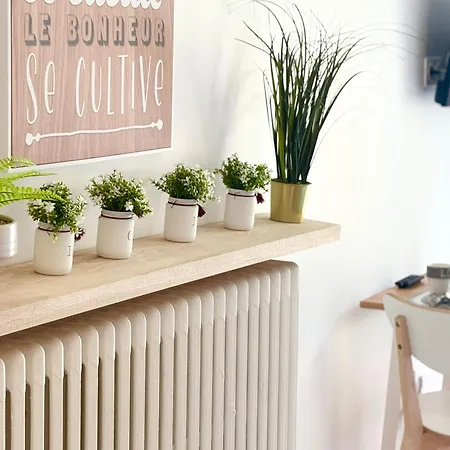 Le Cordouan, Terrasse Exterieure, Apartment